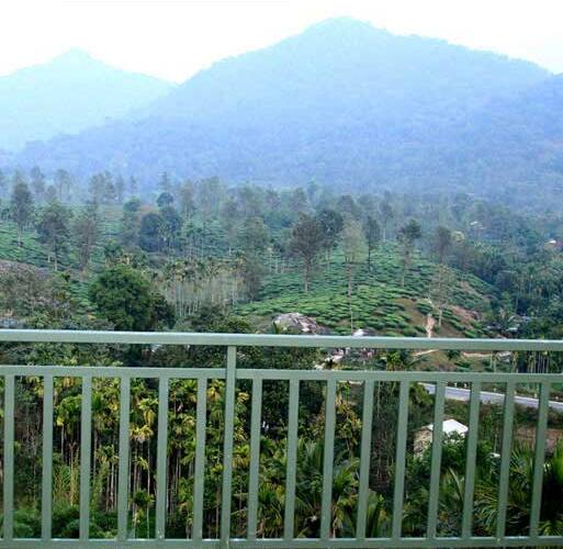 Green Peace Holiday Home, Wayanad 3